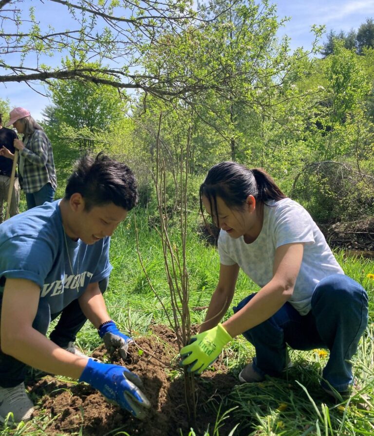 Helping to Combat Erosion in Waterbury, Vermont